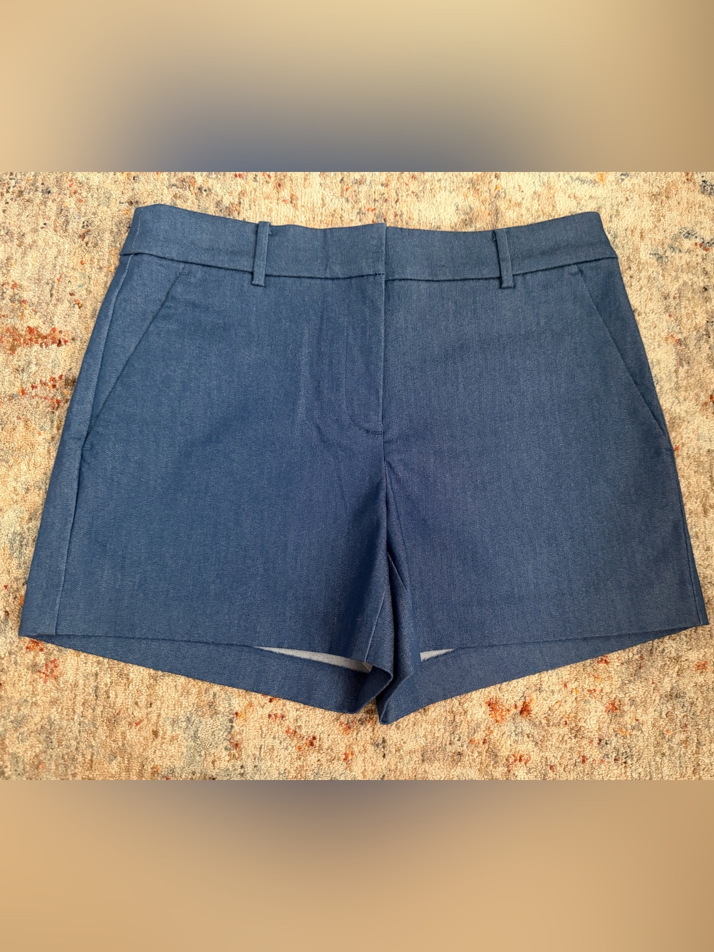 LOFT Women’s Size 2 The Riviera Shorts - Blue
